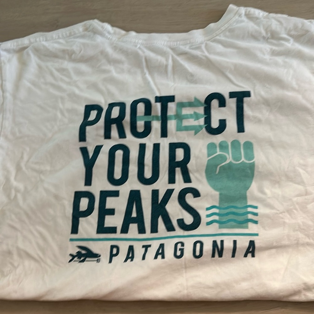 Patagonia Tshirt Size Large Slim Fit